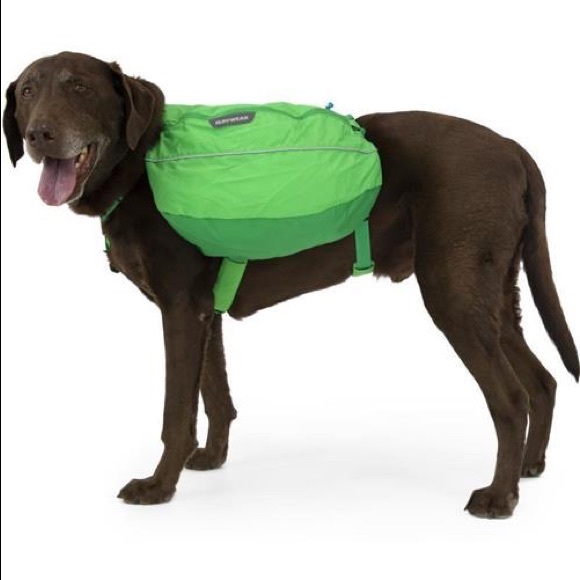 RuffWear Other - Ruffwear Approach Pack meadow green large/extra large